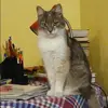 Отзыв от Анфиса Лукина